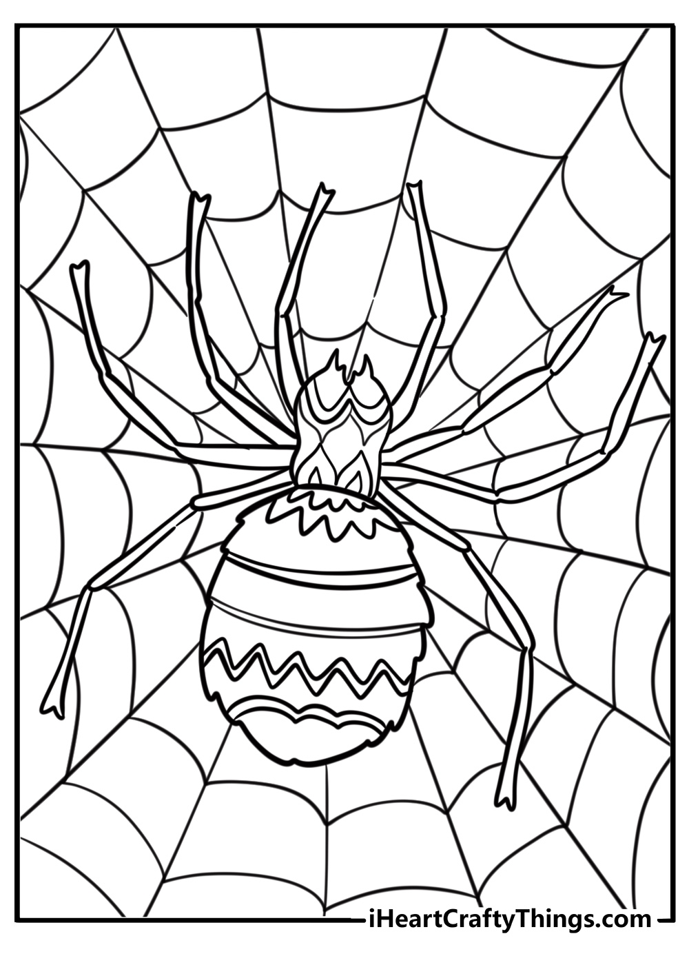 Large spider on a web detailed coloring sheet