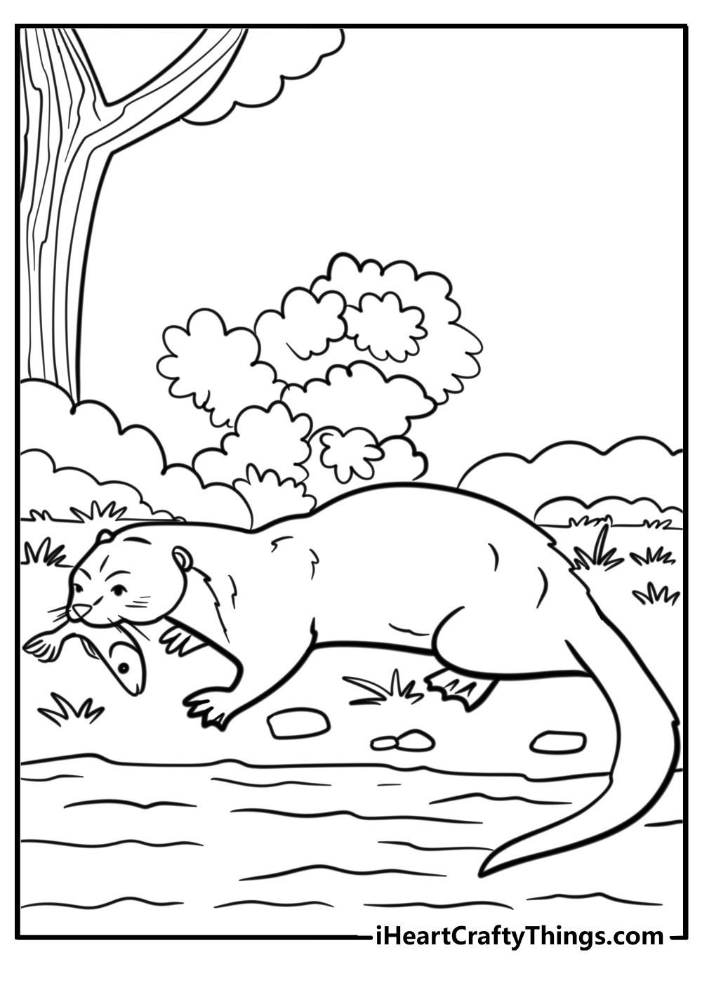 Otter eating a fish fun coloring sheet