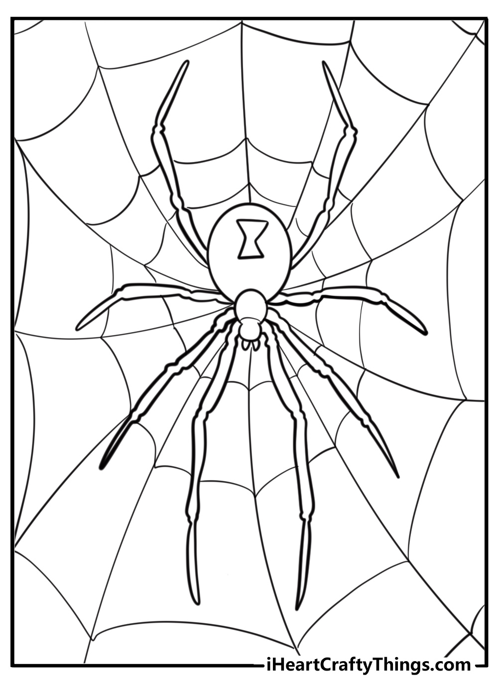 Realistic spider in a web coloring page