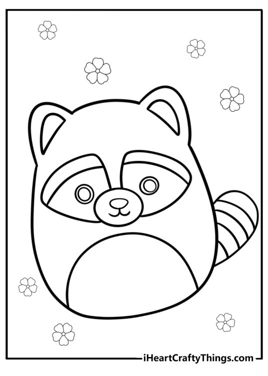 Rrocky the raccoon squishmallow fun coloring page for kids
