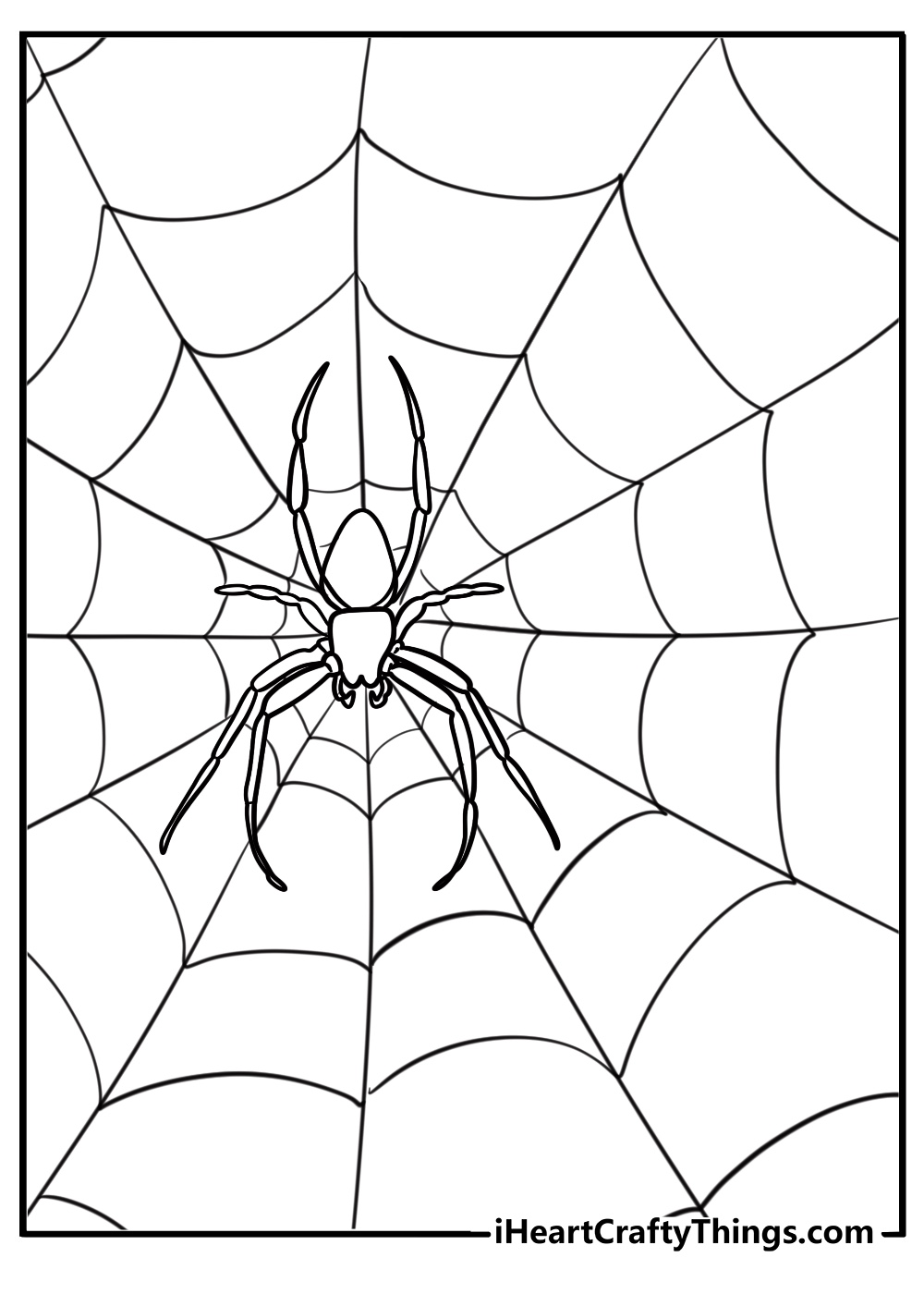 Small spider building a web coloring page