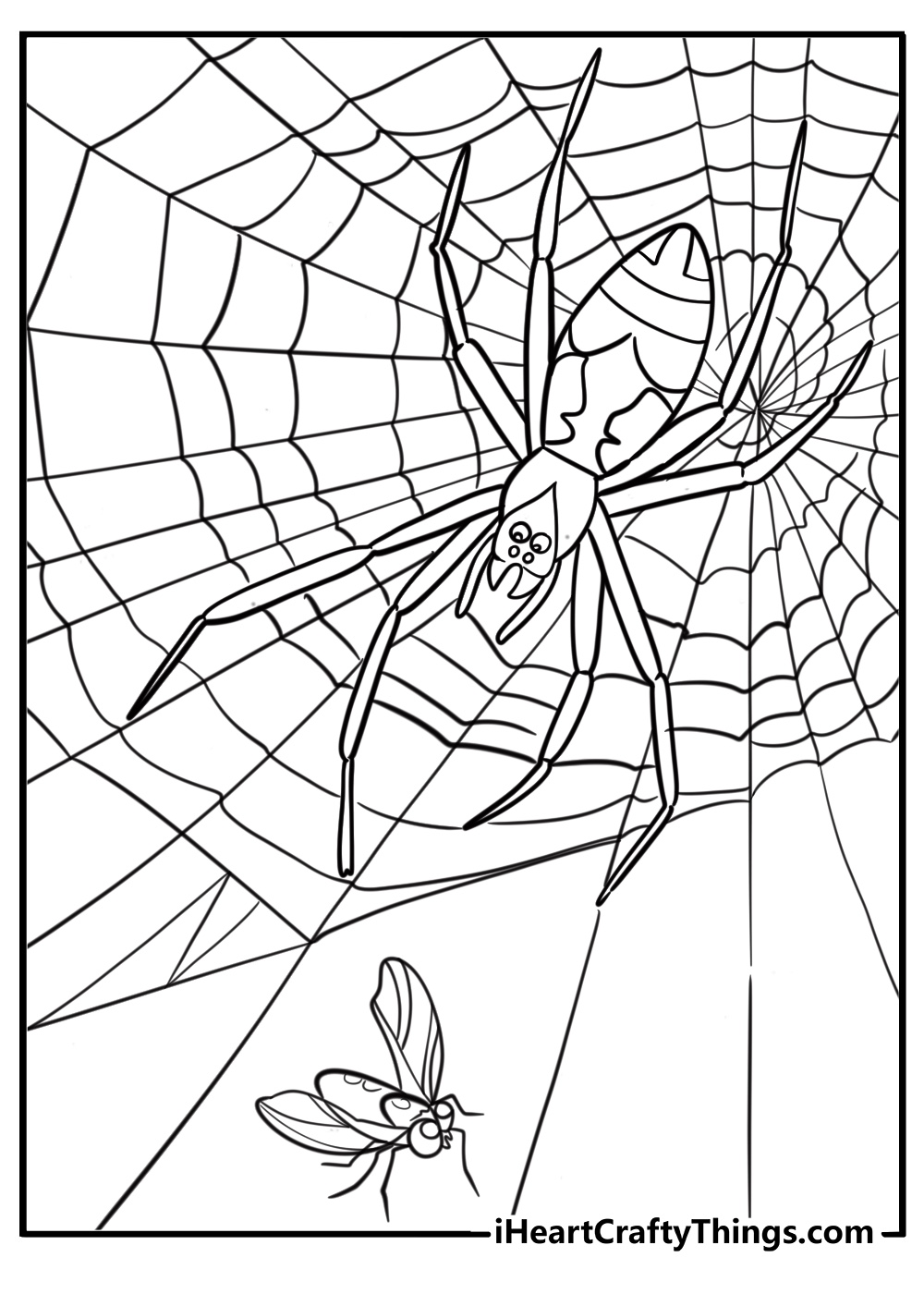 Spider and insects near a web printable coloring page