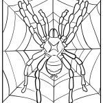 Spider and its web free printable coloring page