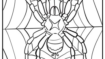 Spider and its web free printable coloring page