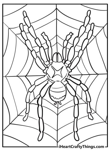 Spider and its web free printable coloring page