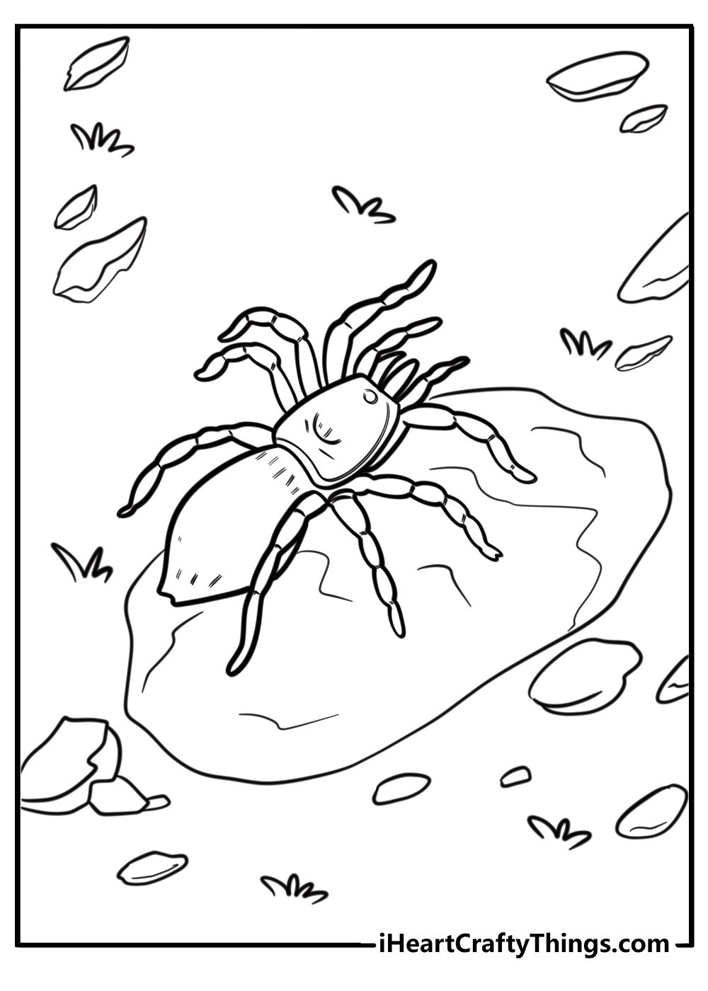 Spider crawling across a rock free coloring page pdf