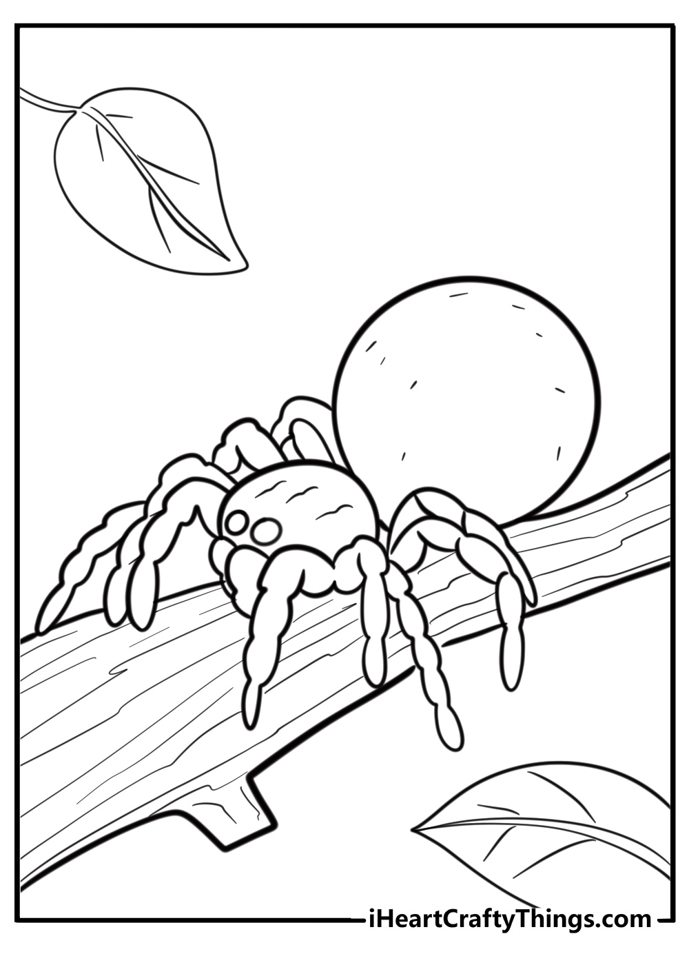 Spider crawling on a tree branch detailed coloring sheet