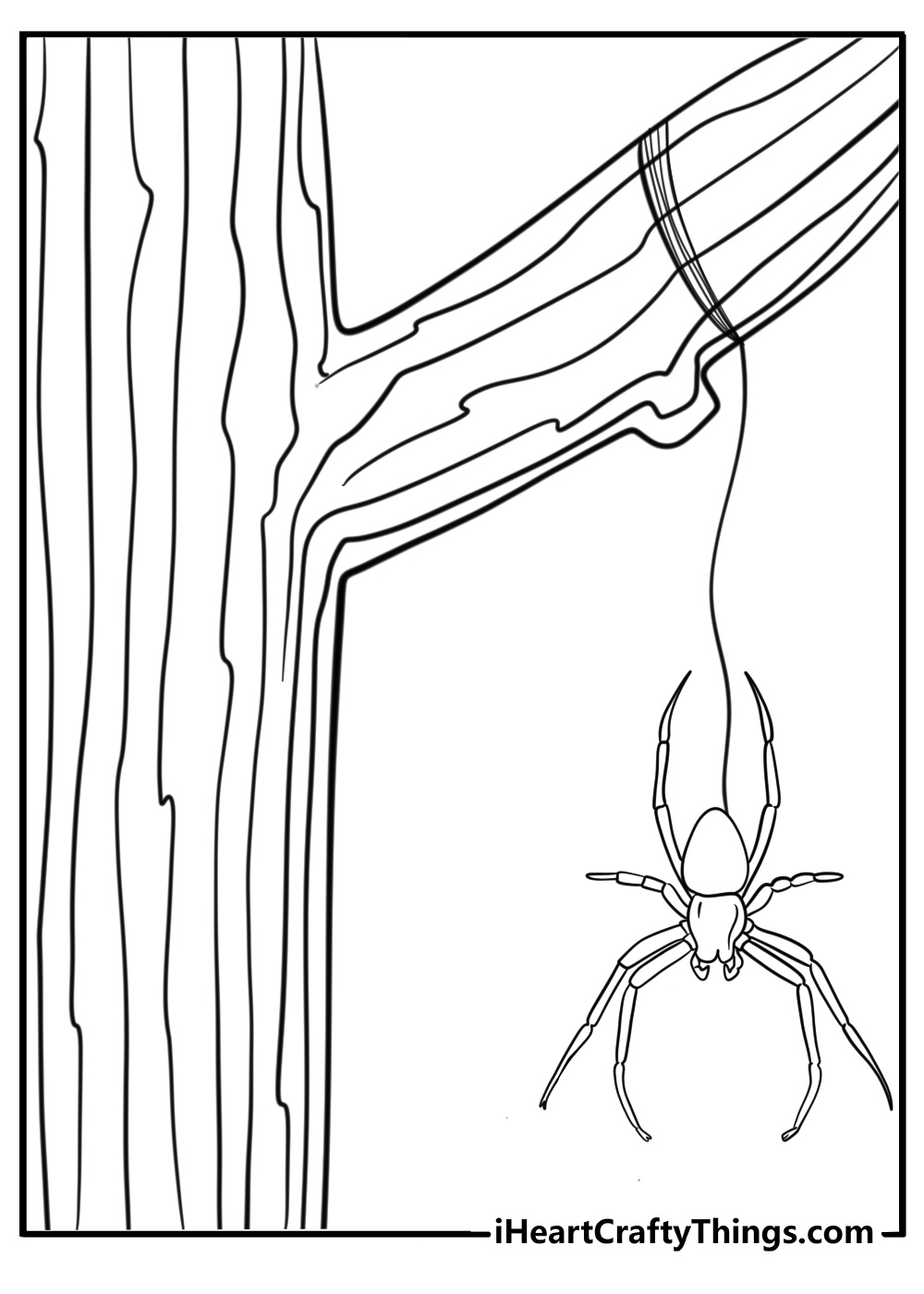 Spider hanging near a tree branch detailed coloring sheet