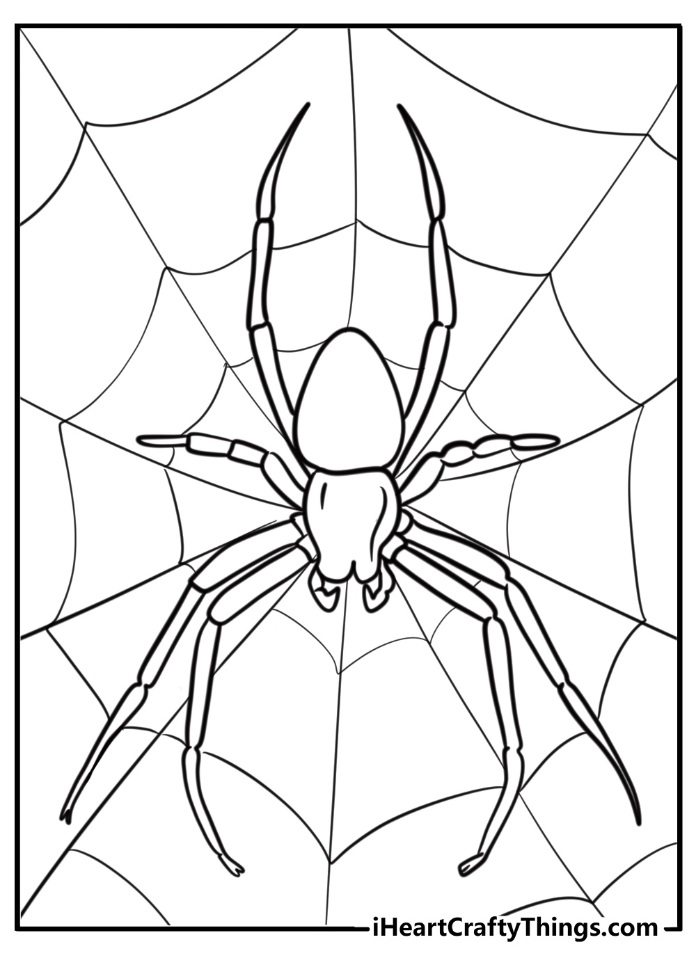 Spider in the middle of its web fun printable coloring sheet