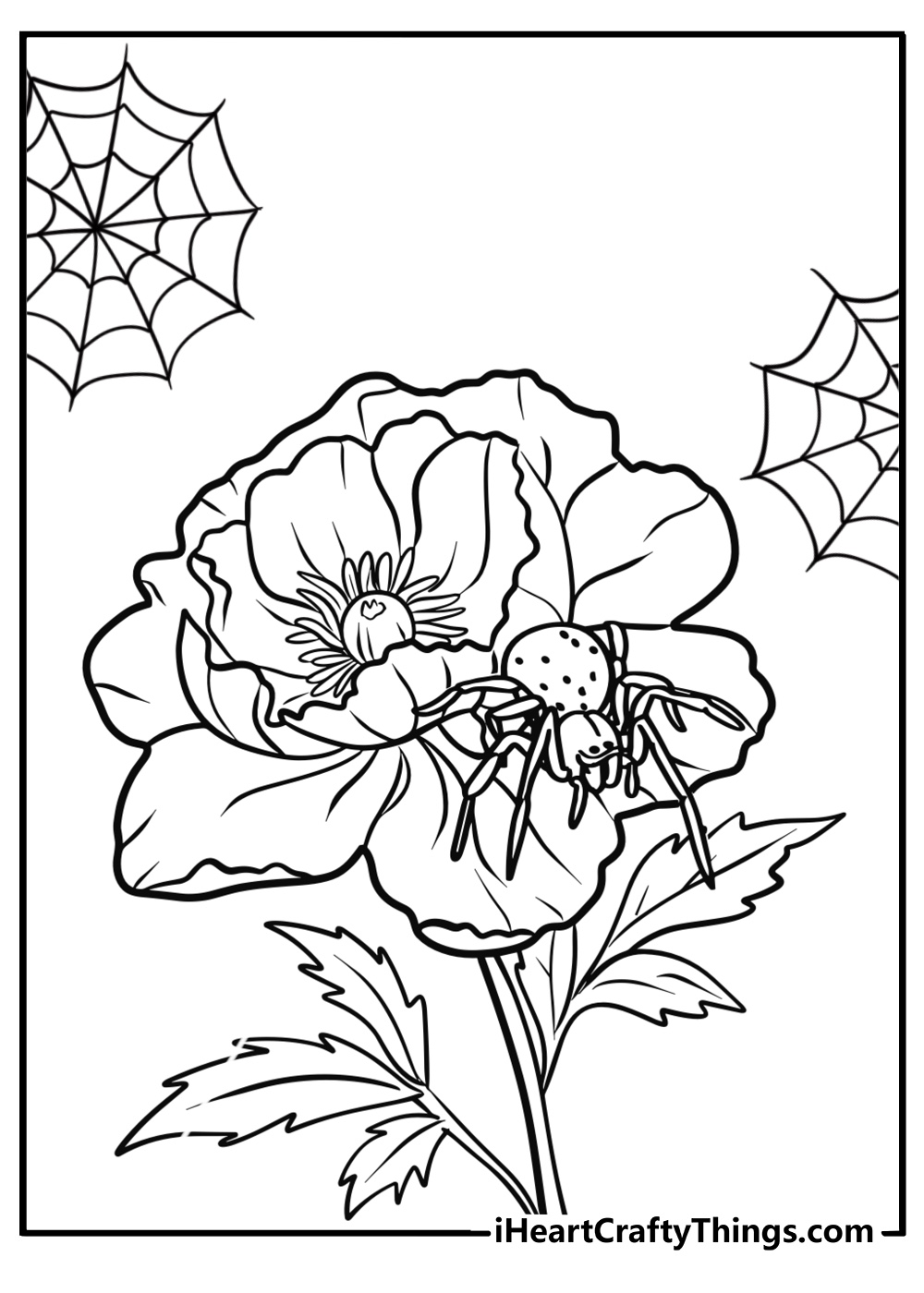 Spider on a flower petal detailed coloring sheet