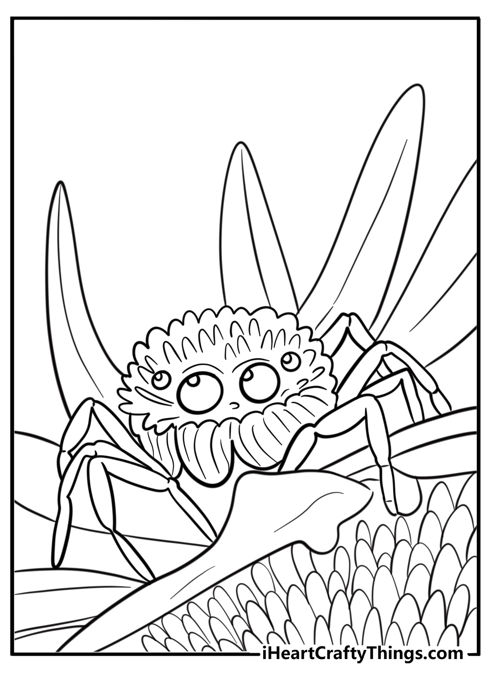 Spider resting on a flower detailed coloring sheet