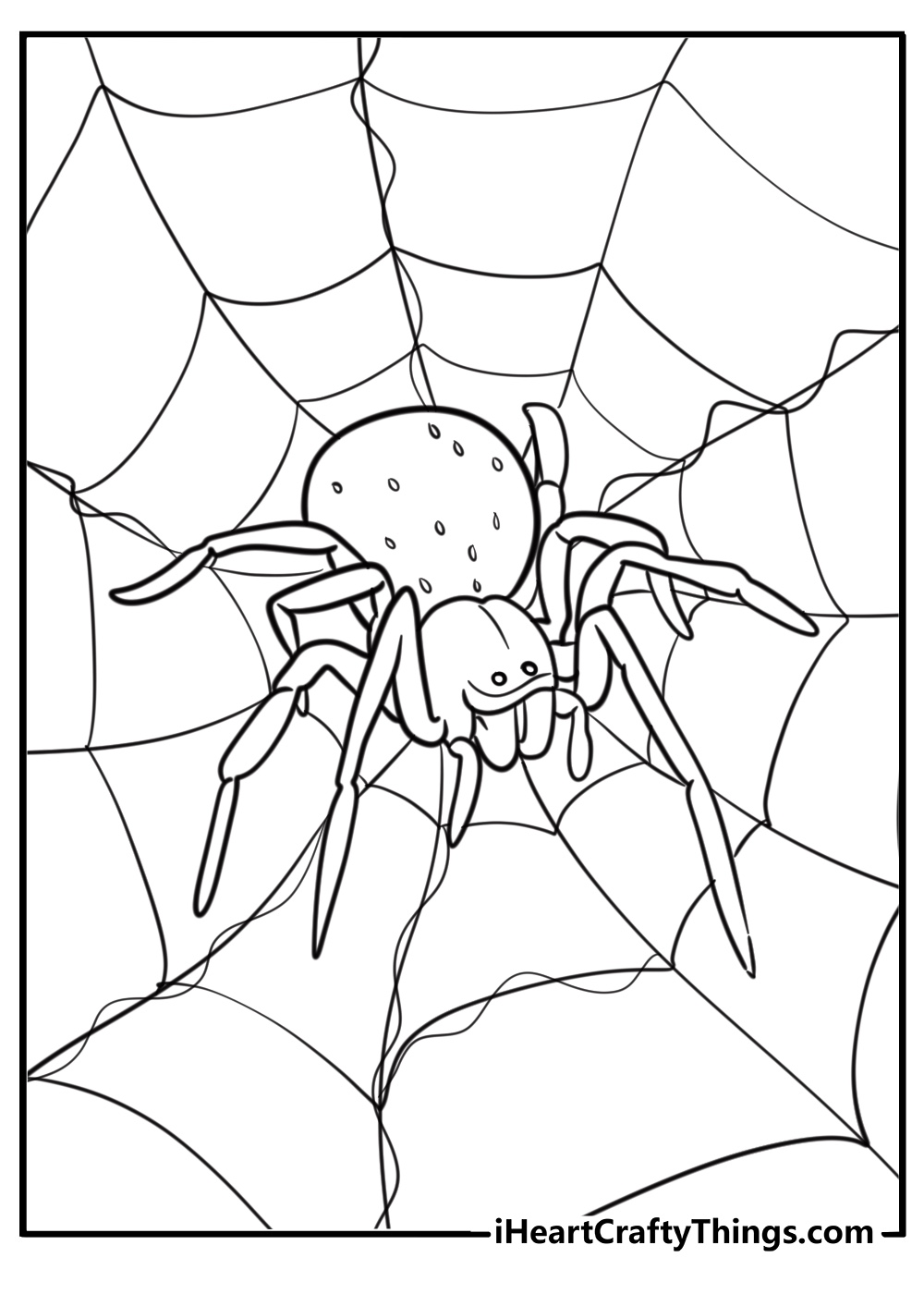 Spider with a detailed web fun coloring sheet