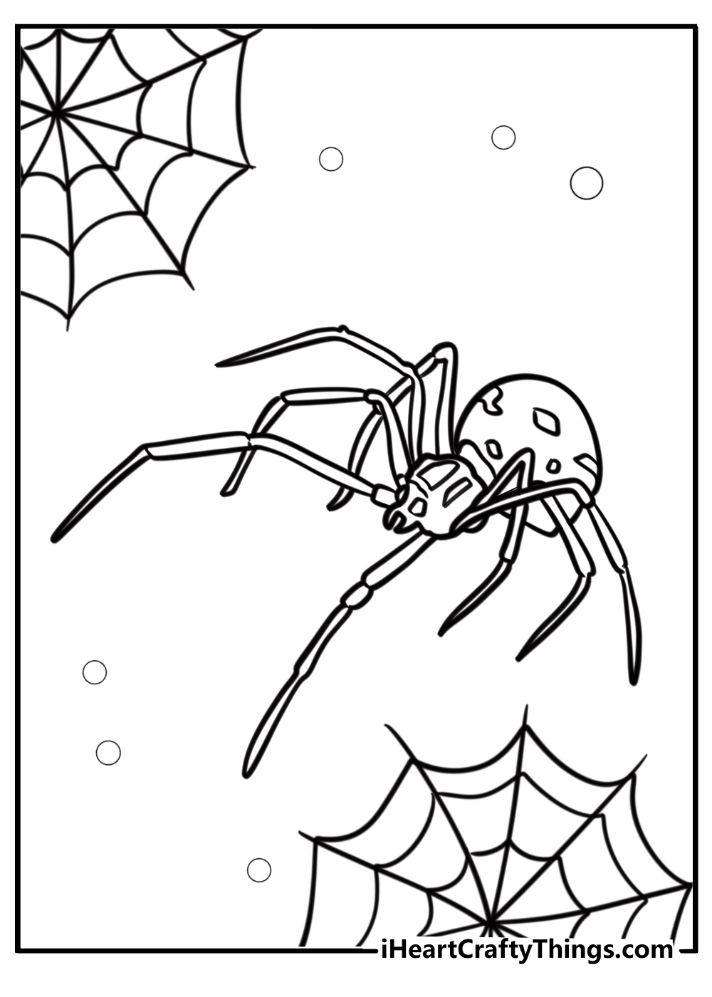 Spider with long legs fun coloring sheet for kids