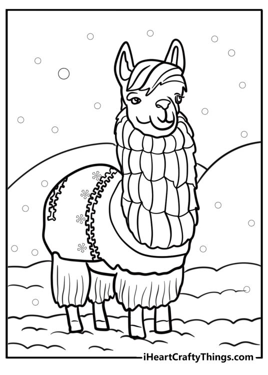 Silly llama with a festive blanket free pdf coloring fun