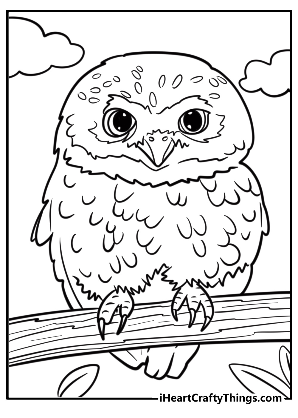 Tiny owl perched on a branch fun coloring pdf