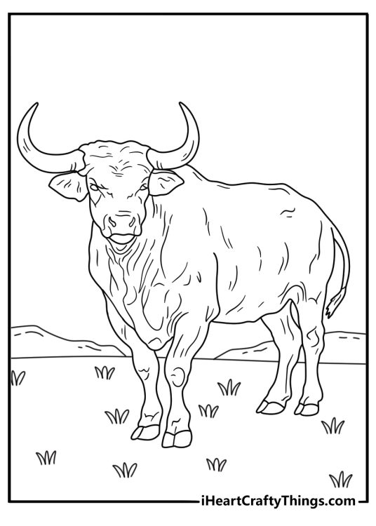 A detailed bull coloring page for adults features horn and fur patterns