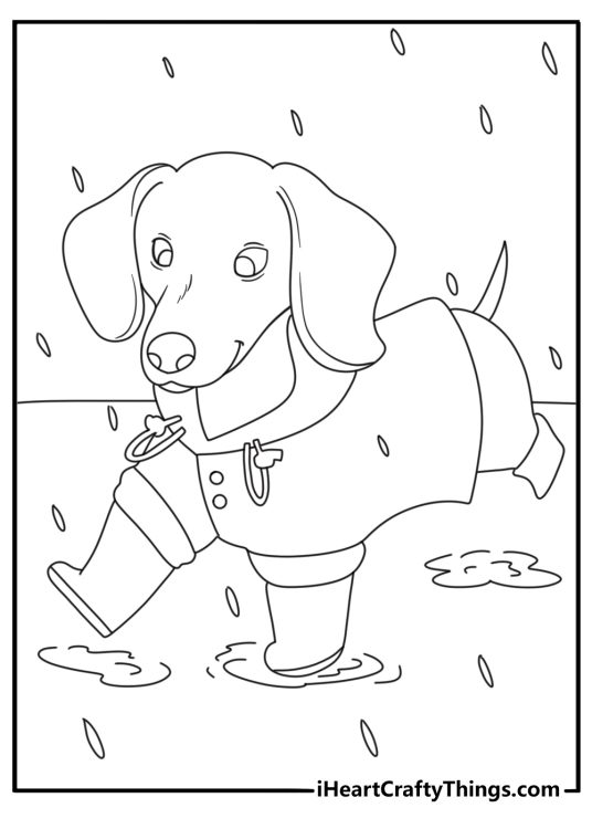 A raincoat and boots sit beside a dachshund in this cute printable