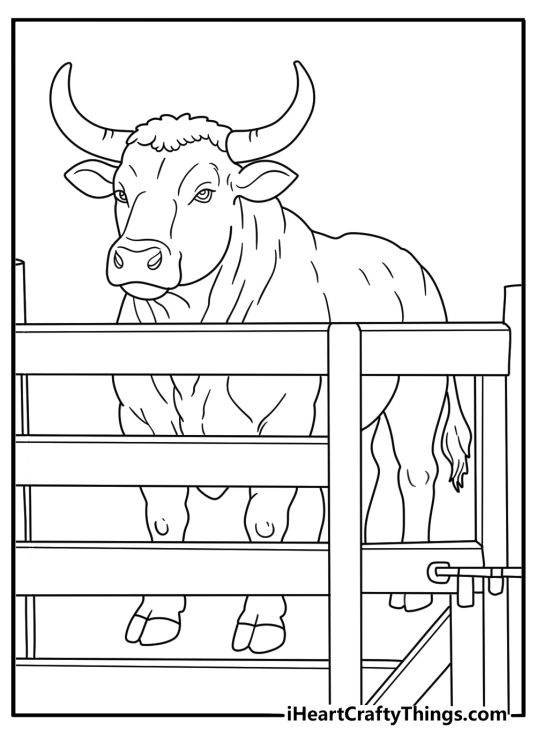 A rodeo bull waits behind a wooden chute in this detailed coloring sheet