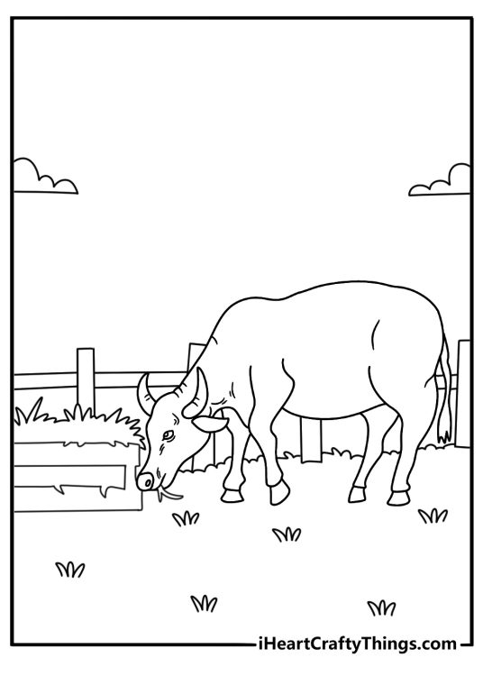 A simple farm coloring sheet shows a bull eating hay from a feeder
