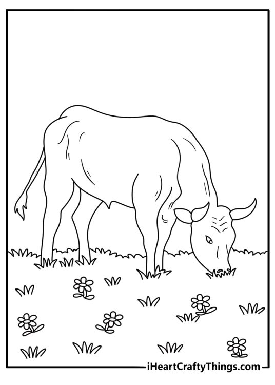 A young bull grazes near wildflowers in this free coloring page