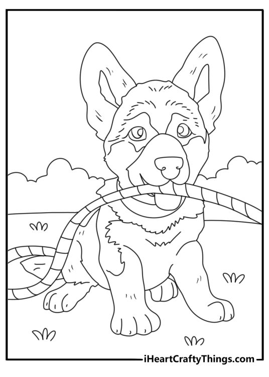 Baby German Shepherd coloring pages with puppy chewing a rope toy