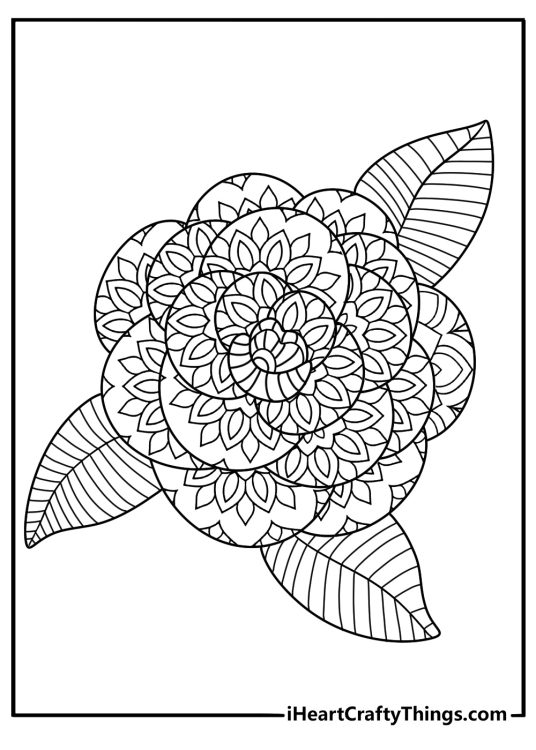 Camellia petal ring mandala elegant design adult coloring printable