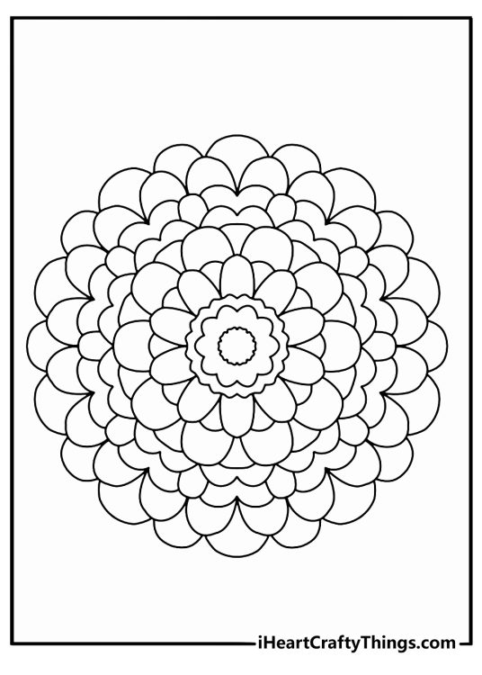 Chrysanthemum ray mandala fine lines detailed coloring sheet