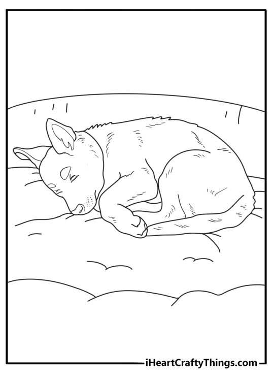 Cute German Shepherd puppy coloring page curled in a dog bed simple printable