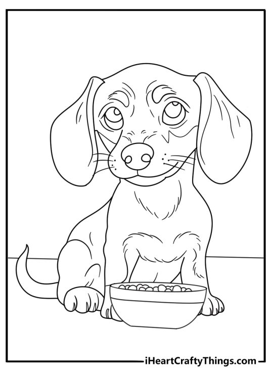 Dachshund coloring page showing a puppy beside a food bowl