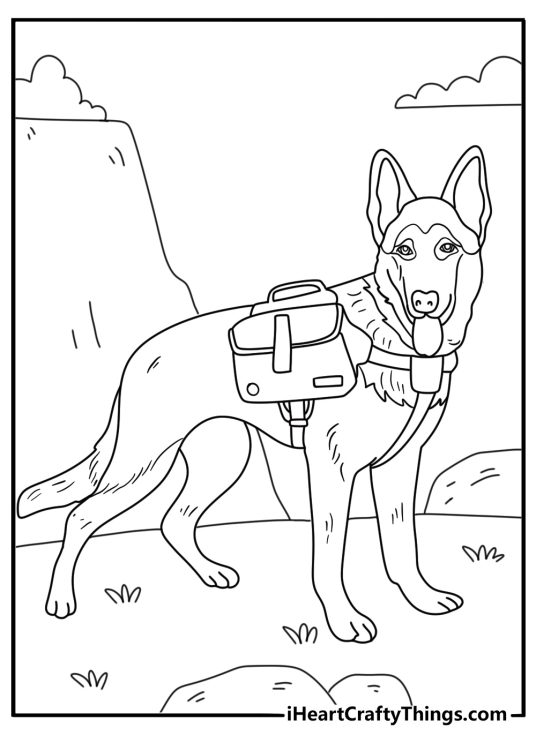 Detailed German Shepherd coloring page with harness and backpack on hiking trail