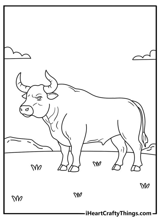 Detailed bull printable featuring a side view of thick horns and broad shoulders