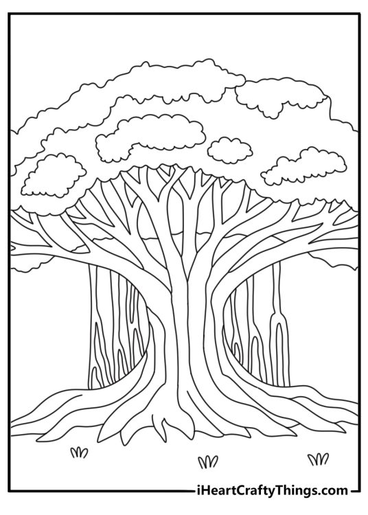 Detailed tree coloring sheet for adults with a banyan tree and hanging roots