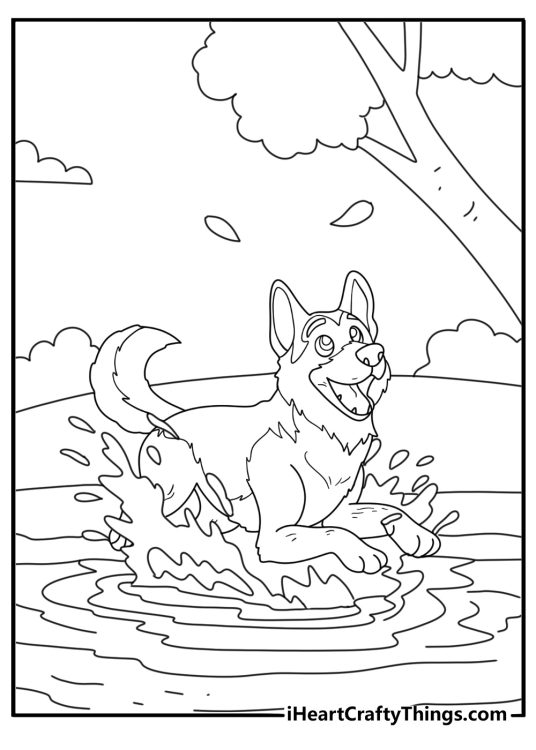 Easy German Shepherd coloring pages with dog splashing in shallow river water