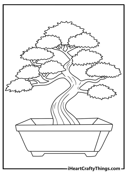 Easy tree coloring page with a bonsai tree in a small pot