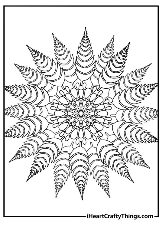 Fern frond mandala radial leaves botanical coloring page for adults PDF