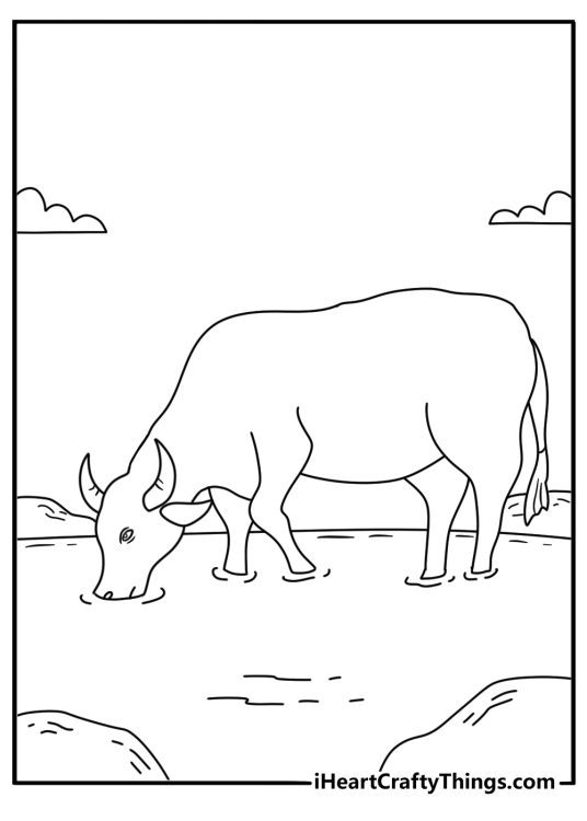 Free printable cattle sheet showing a bull drinking from a pond