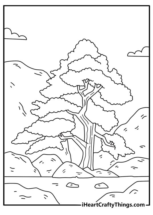 Free printable tree coloring sheet with a cedar tree on rocky ground