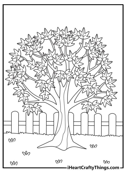Free tree printable of a maple tree beside a wooden fence