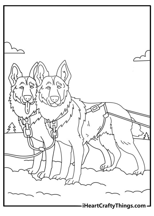 German Shepherd coloring sheet with dog pulling sled in snowy landscape