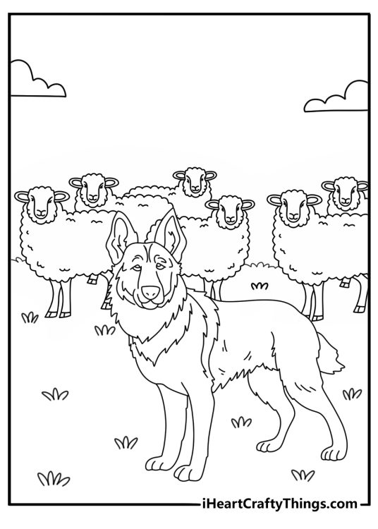 German Shepherd dog coloring pages with herding sheep in open field scene