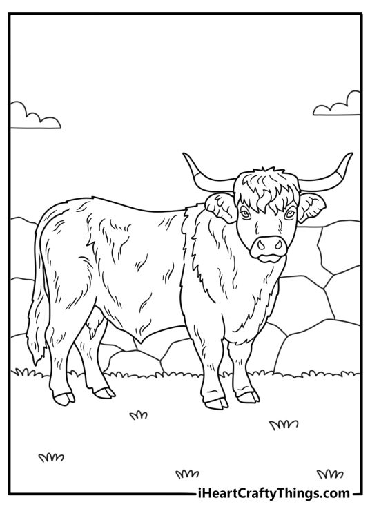 Kids can color a Highland bull standing near stone walls