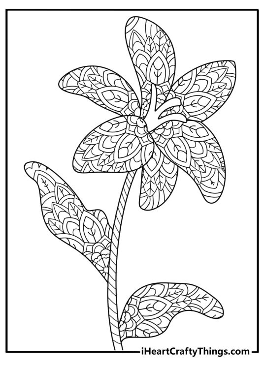 Lily bloom mandala with dotted accents advanced coloring page