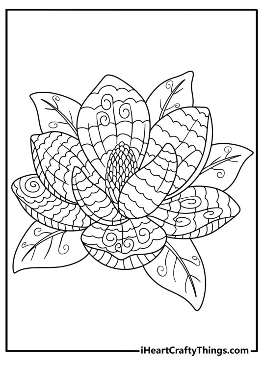Magnolia blossom mandala large shapes easy coloring page PDF