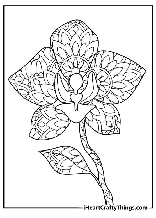 Orchid lace mandala detailed petals mindful coloring printable PDF