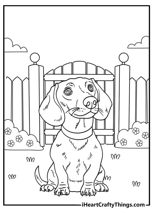 Paw prints lead to a dachshund near a garden gate in this easy coloring sheet