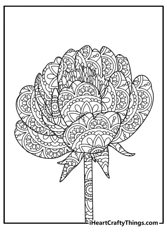 Peony flower mandala line art simple coloring page PDF download