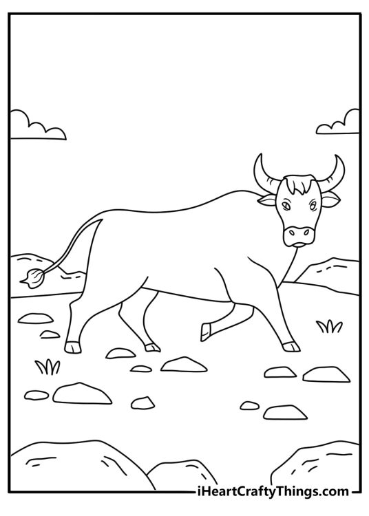 Printable cattle page showing a bull walking beside a dirt road