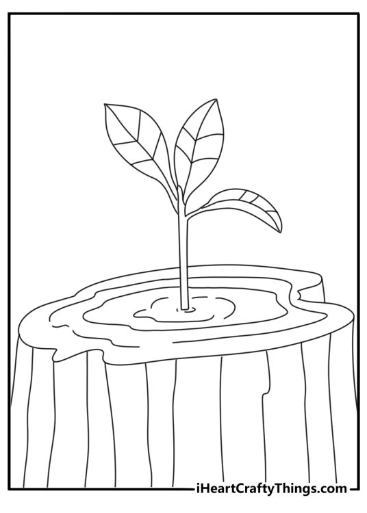 Printable tree coloring page with a tree stump and growth rings