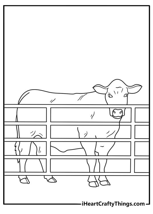 Ranch gates frame a black Angus bull in this simple printable