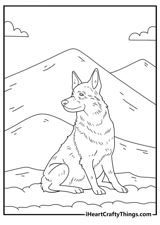 Realistic German Shepherd coloring sheet with long fur blowing in mountain wind